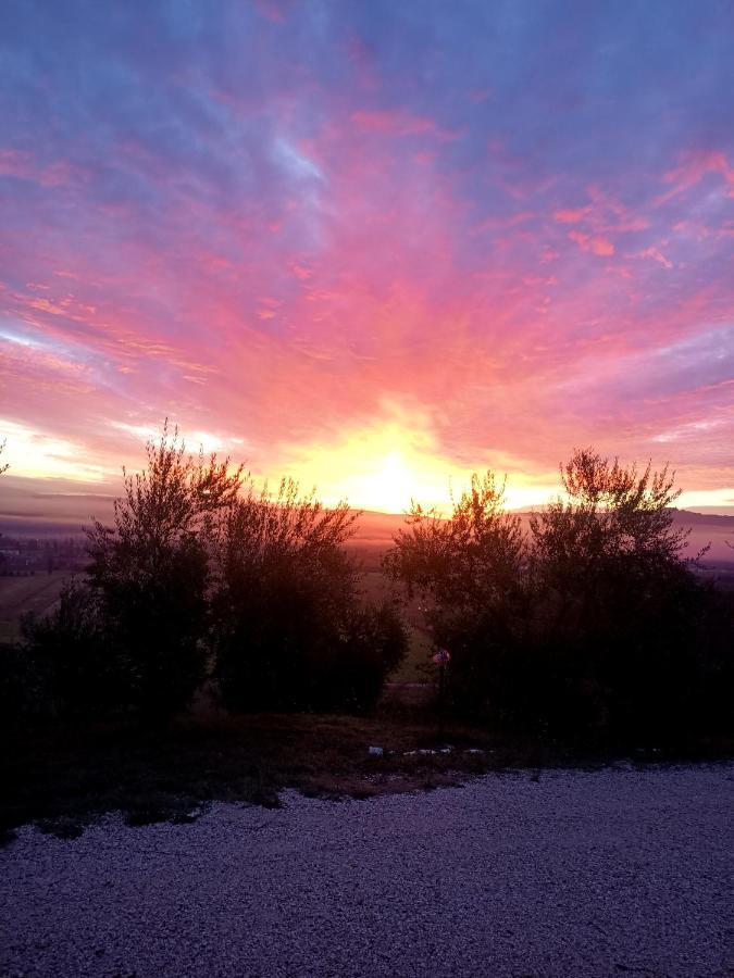 Il Casale Di Lavinia Bed & Breakfast Fabro Dış mekan fotoğraf